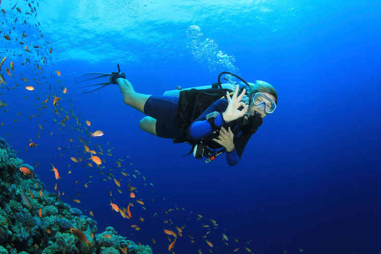Beautiful Woman Scuba Diving